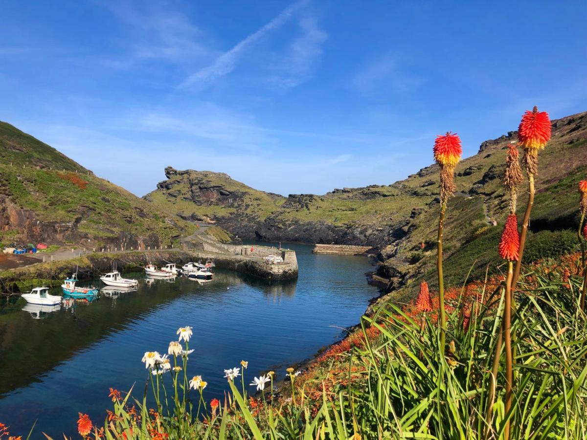 Ferienwohnung Harbour Light Boscastle Exterior foto